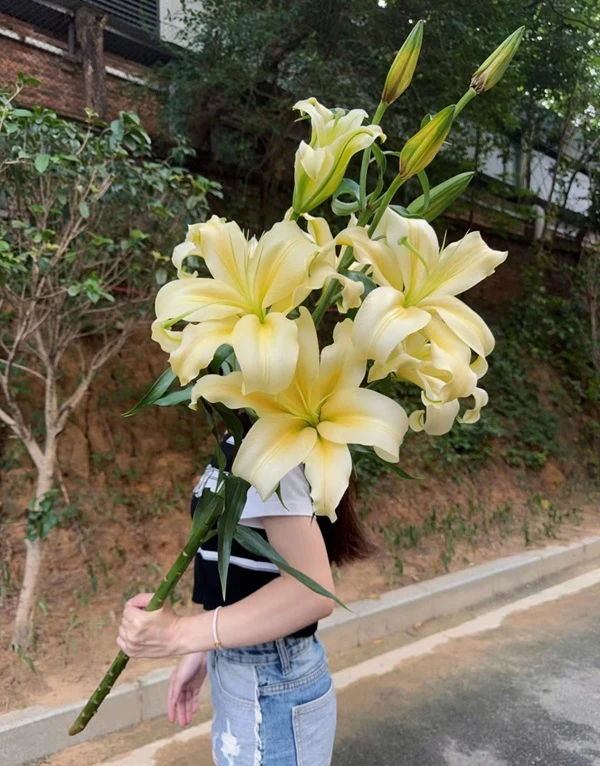 Một người phụ nữ cầm một bó hoa màu vàng ảnh hoa ly