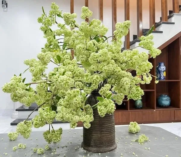 Có một chiếc bình số hoa trong đó trên bàn