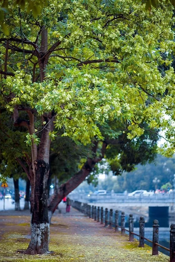 Có một người đàn ông đang đi xuống vỉa hè với chiếc