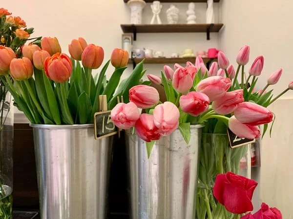 một bó hoa tuliplip trong bình ảnh hoa tulip