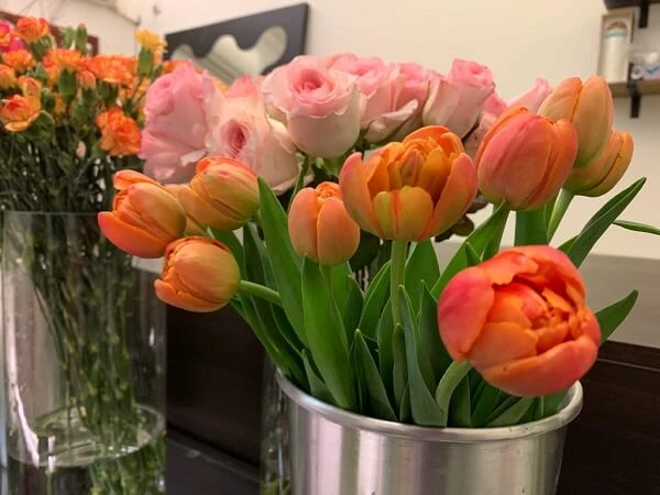 một bó hoa tuliplip trong bình ảnh hoa tulip