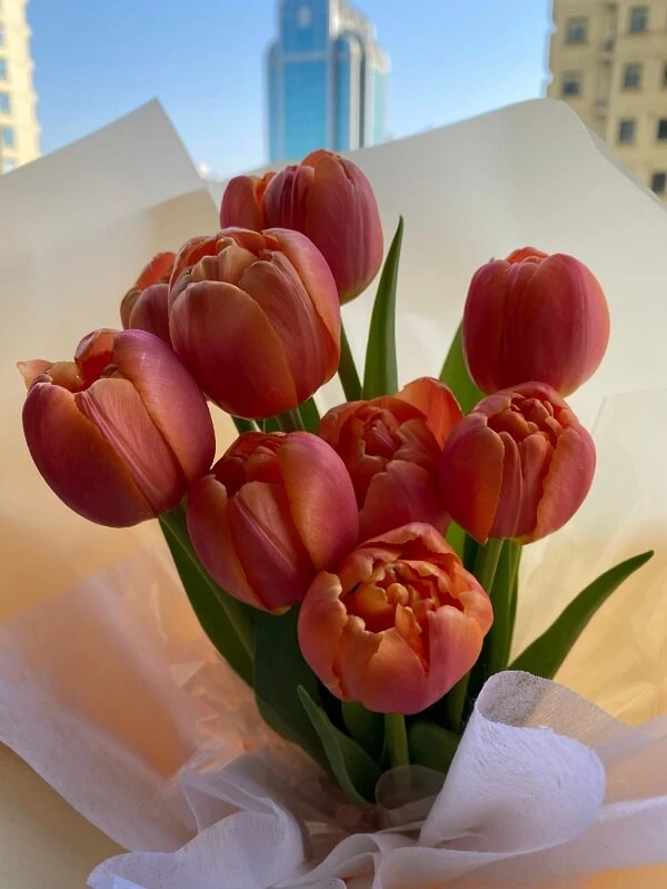 một bó hoa tuliplips ảnh hoa tulip