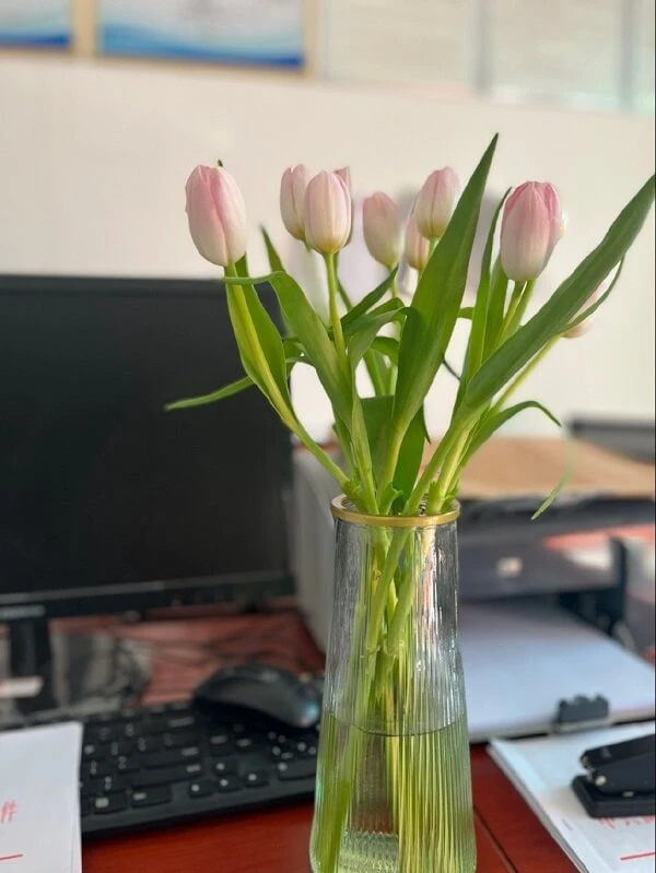 một chiếc bình có hoa tulip màu hồng trên bàn ảnh hoa tulip