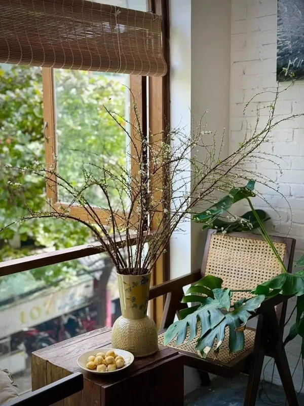 Có một chiếc bình số cây trong đó trên bàn