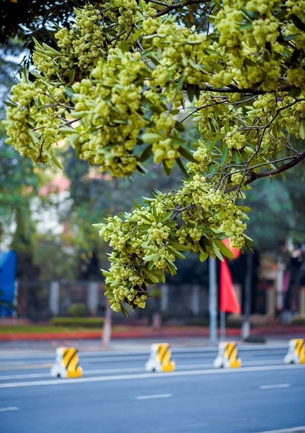 Có một dấu hiệu dừng bên đường