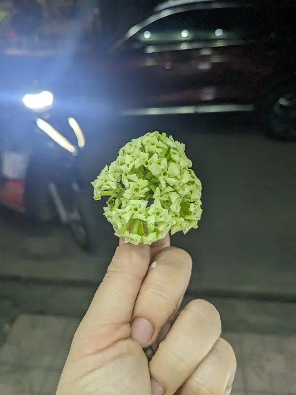 Có một người cầm miếng bông cải xanh trong tay